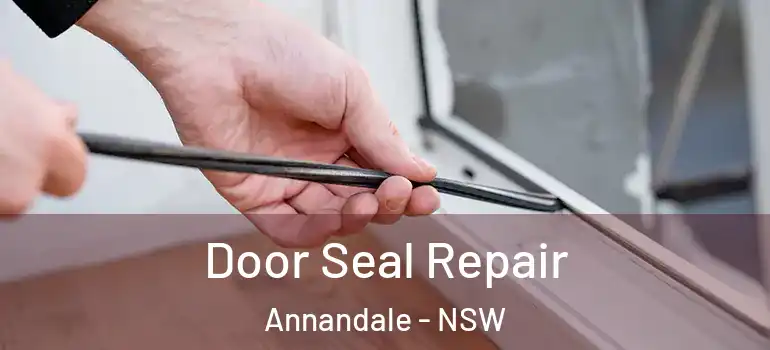 Door Seal Repair Annandale - NSW