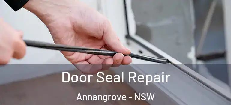 Door Seal Repair Annangrove - NSW