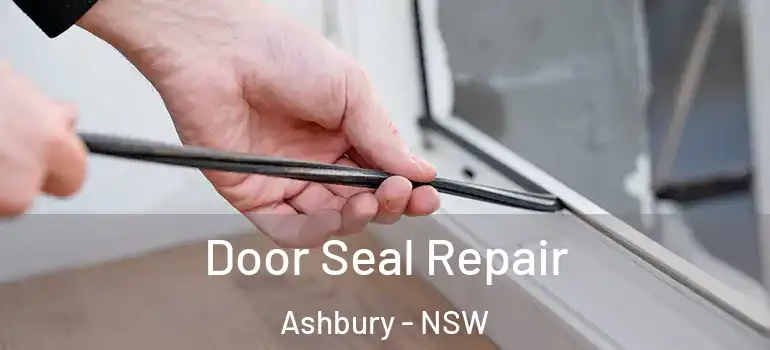 Door Seal Repair Ashbury - NSW