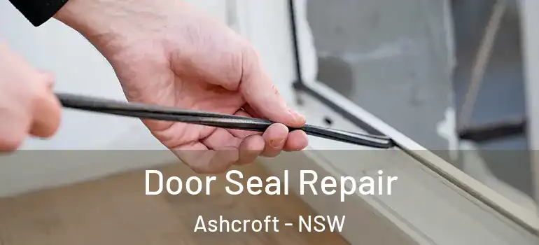 Door Seal Repair Ashcroft - NSW