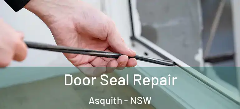 Door Seal Repair Asquith - NSW
