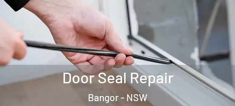  Door Seal Repair Bangor - NSW
