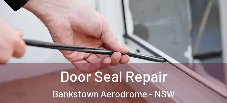 Door Seal Repair Bankstown Aerodrome - NSW