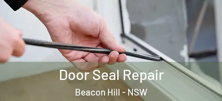  Door Seal Repair Beacon Hill - NSW