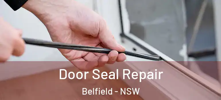  Door Seal Repair Belfield - NSW