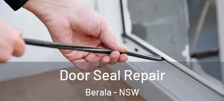 Door Seal Repair Berala - NSW