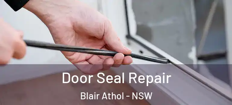 Door Seal Repair Blair Athol - NSW