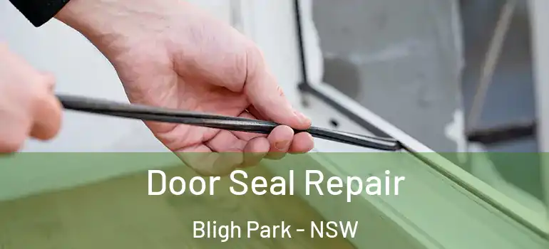 Door Seal Repair Bligh Park - NSW