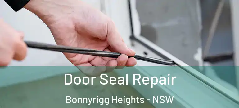 Door Seal Repair Bonnyrigg Heights - NSW