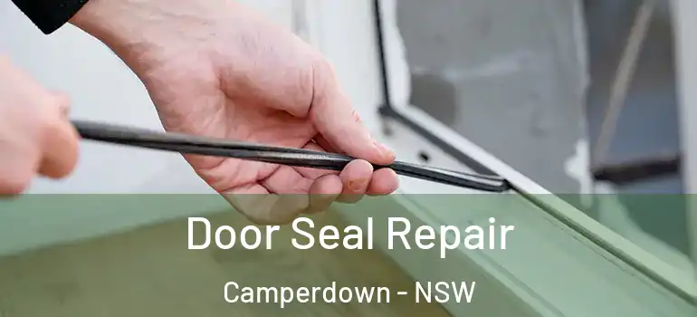  Door Seal Repair Camperdown - NSW