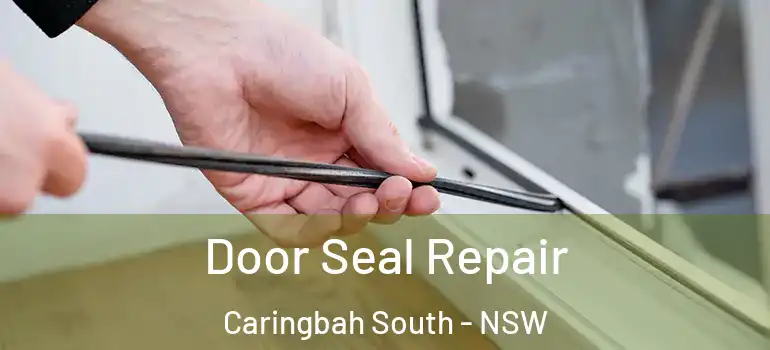  Door Seal Repair Caringbah South - NSW