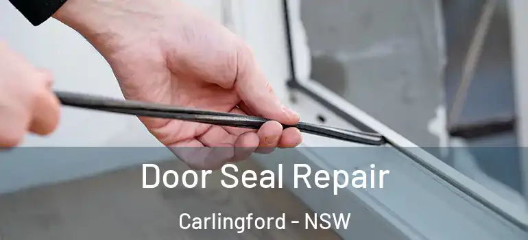 Door Seal Repair Carlingford - NSW