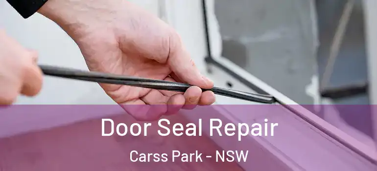 Door Seal Repair Carss Park - NSW