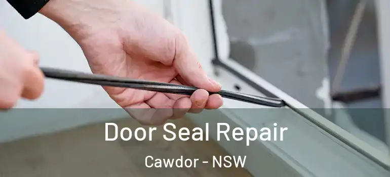 Door Seal Repair Cawdor - NSW