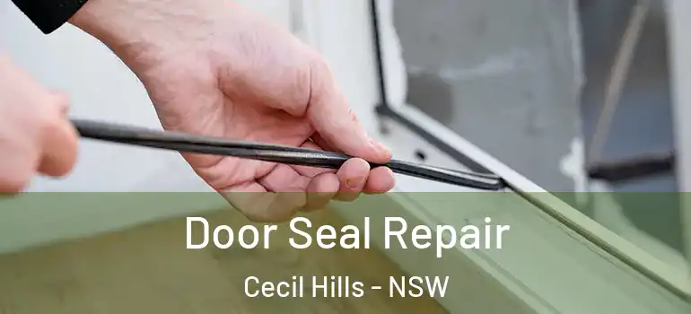  Door Seal Repair Cecil Hills - NSW