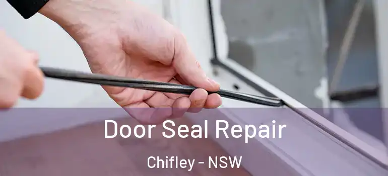  Door Seal Repair Chifley - NSW