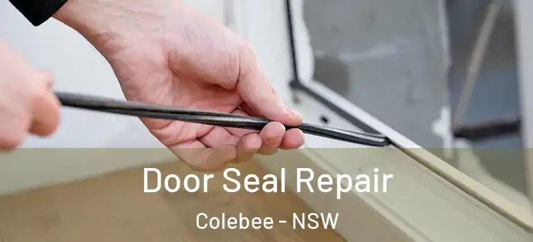  Door Seal Repair Colebee - NSW