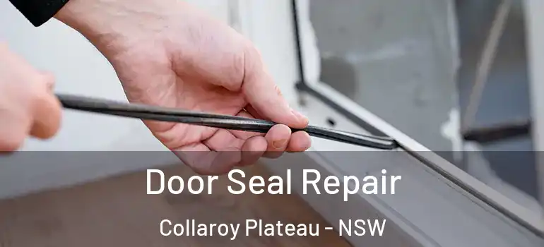 Door Seal Repair Collaroy Plateau - NSW