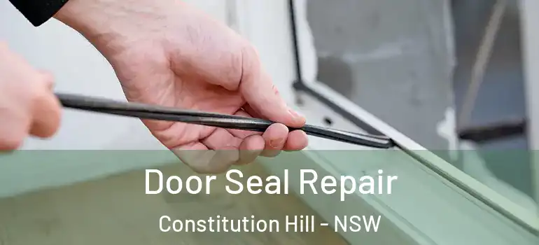  Door Seal Repair Constitution Hill - NSW