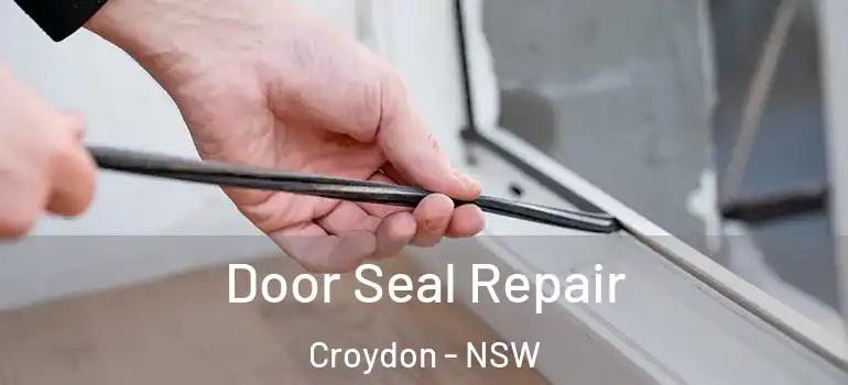 Door Seal Repair Croydon - NSW