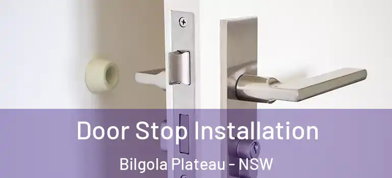 Door Stop Installation Bilgola Plateau - NSW