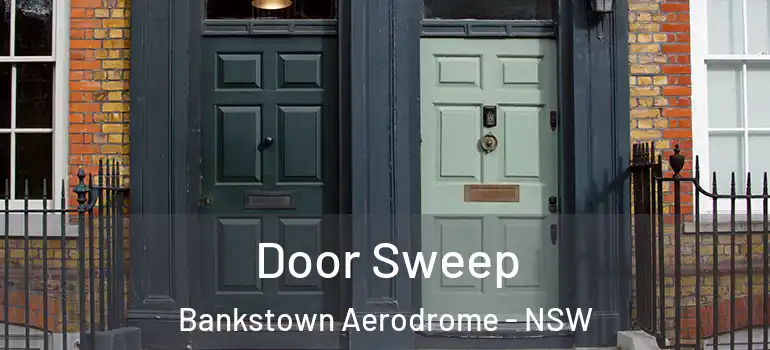 Door Sweep Bankstown Aerodrome - NSW