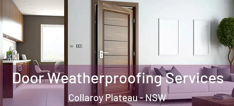 Door Weatherproofing Services Collaroy Plateau - NSW