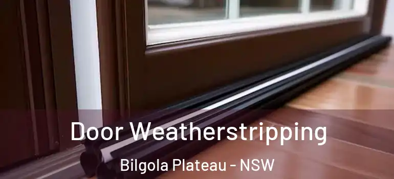 Door Weatherstripping Bilgola Plateau - NSW