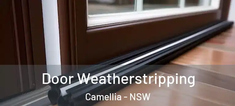 Door Weatherstripping Camellia - NSW