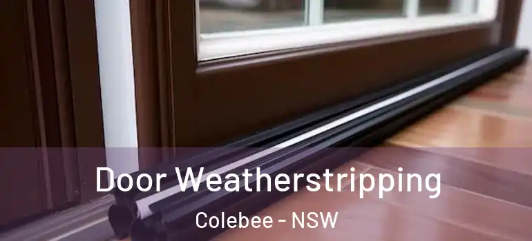 Door Weatherstripping Colebee - NSW