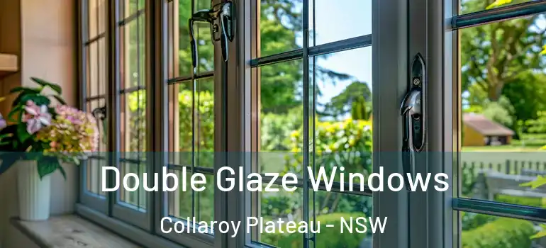 Double Glaze Windows Collaroy Plateau - NSW
