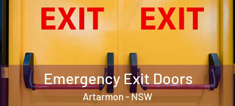 Emergency Exit Doors Artarmon - NSW