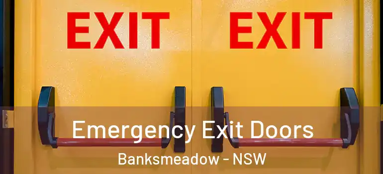  Emergency Exit Doors Banksmeadow - NSW