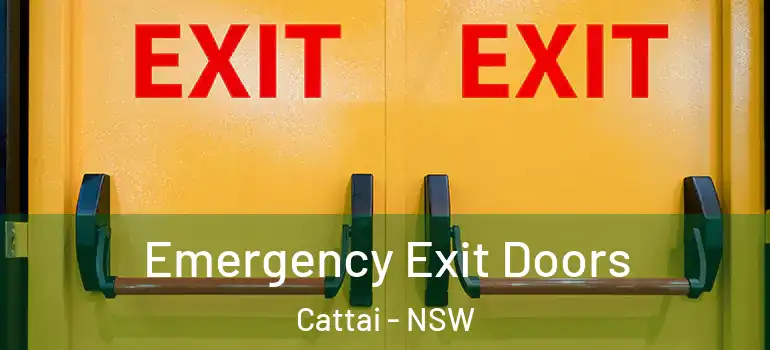 Emergency Exit Doors Cattai - NSW