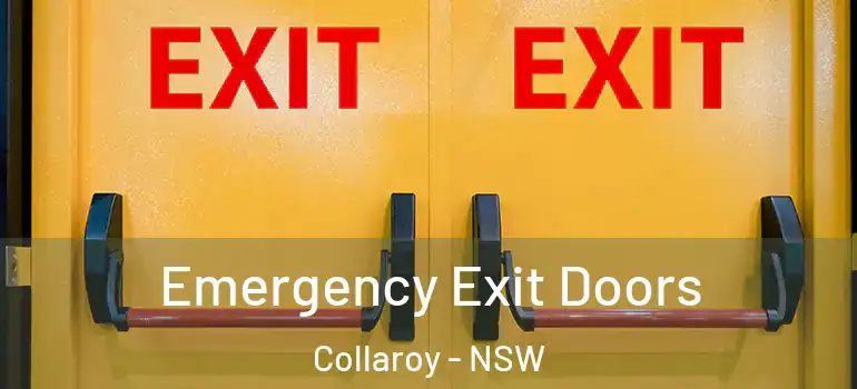  Emergency Exit Doors Collaroy - NSW
