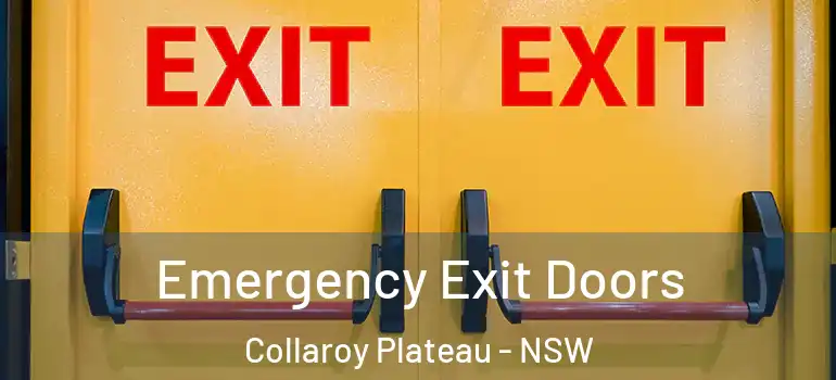 Emergency Exit Doors Collaroy Plateau - NSW