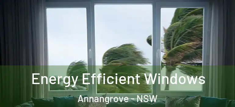 Energy Efficient Windows Annangrove - NSW