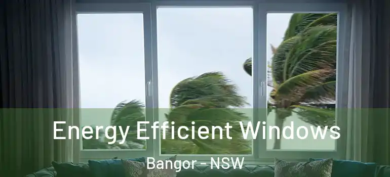  Energy Efficient Windows Bangor - NSW
