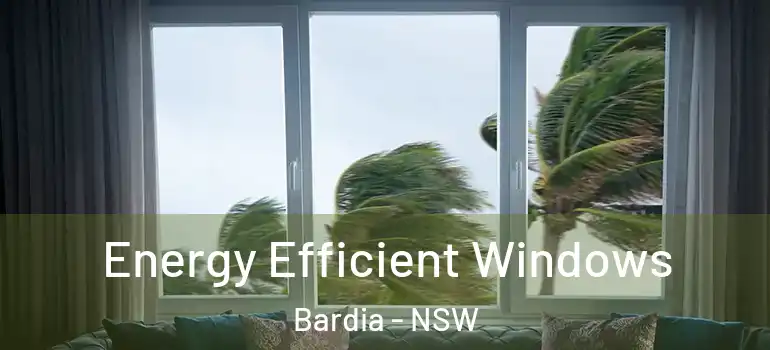 Energy Efficient Windows Bardia - NSW