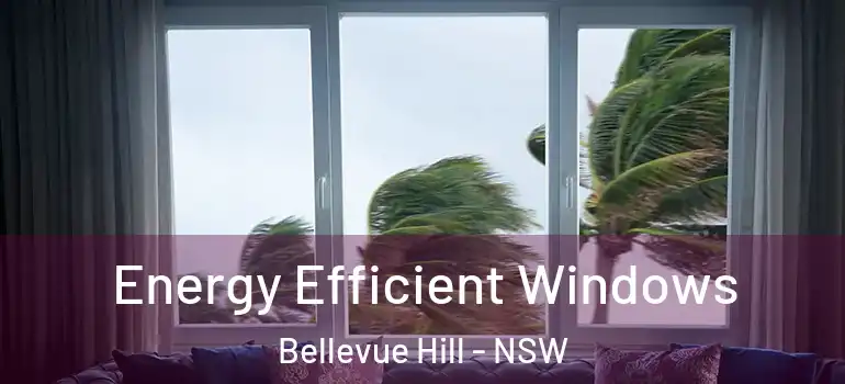 Energy Efficient Windows Bellevue Hill - NSW