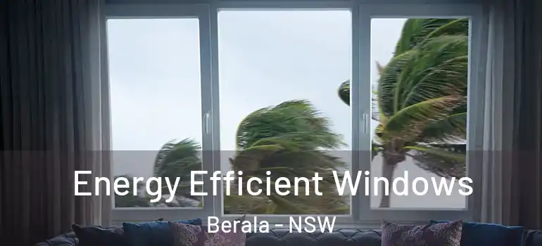 Energy Efficient Windows Berala - NSW