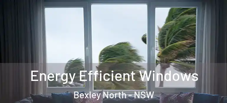  Energy Efficient Windows Bexley North - NSW