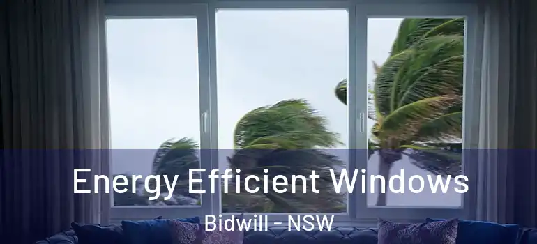 Energy Efficient Windows Bidwill - NSW