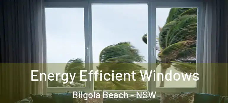 Energy Efficient Windows Bilgola Beach - NSW