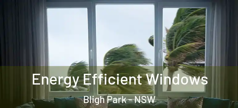 Energy Efficient Windows Bligh Park - NSW