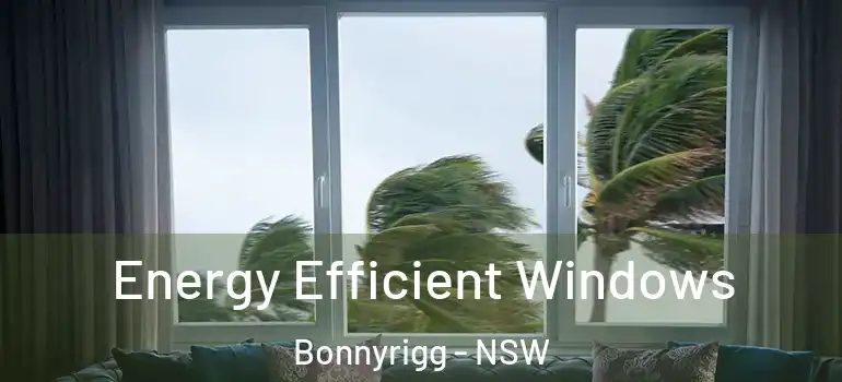  Energy Efficient Windows Bonnyrigg - NSW