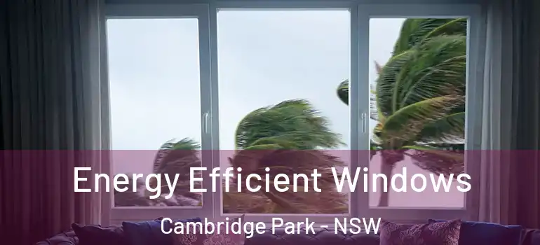  Energy Efficient Windows Cambridge Park - NSW