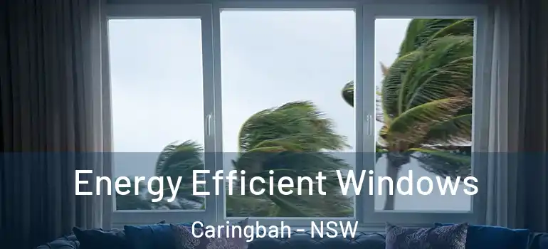 Energy Efficient Windows Caringbah - NSW