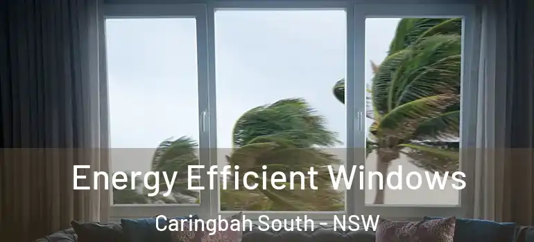  Energy Efficient Windows Caringbah South - NSW