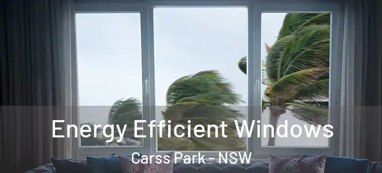  Energy Efficient Windows Carss Park - NSW